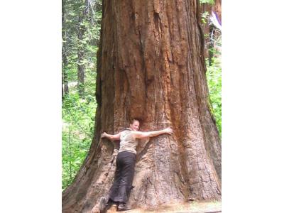 Hugging a Tree